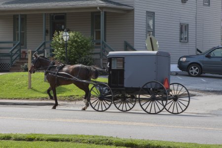 De Amish mensen rijden dagelijks in deze paard en buggy